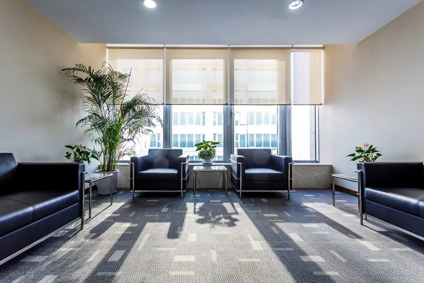 spotlessly clean house cleaning service