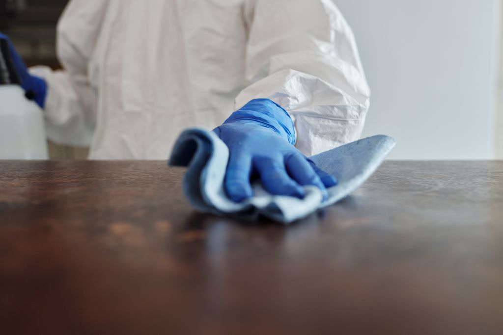 A person cleaning.