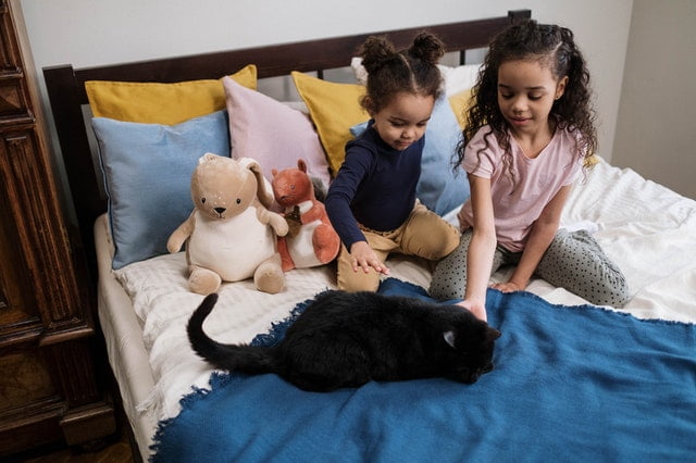 Two girls playing with a cat