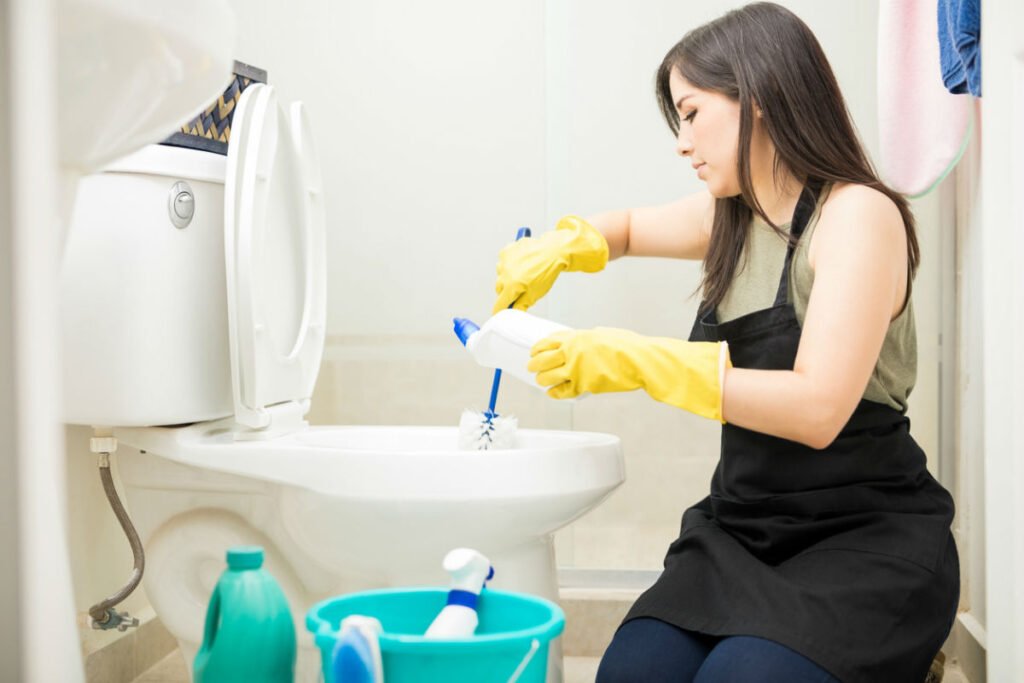 Woman  Cleaning Toilet