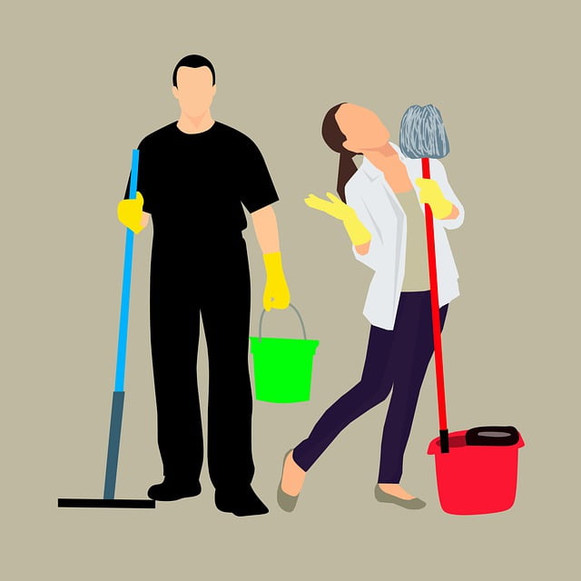 Professional home cleaners
