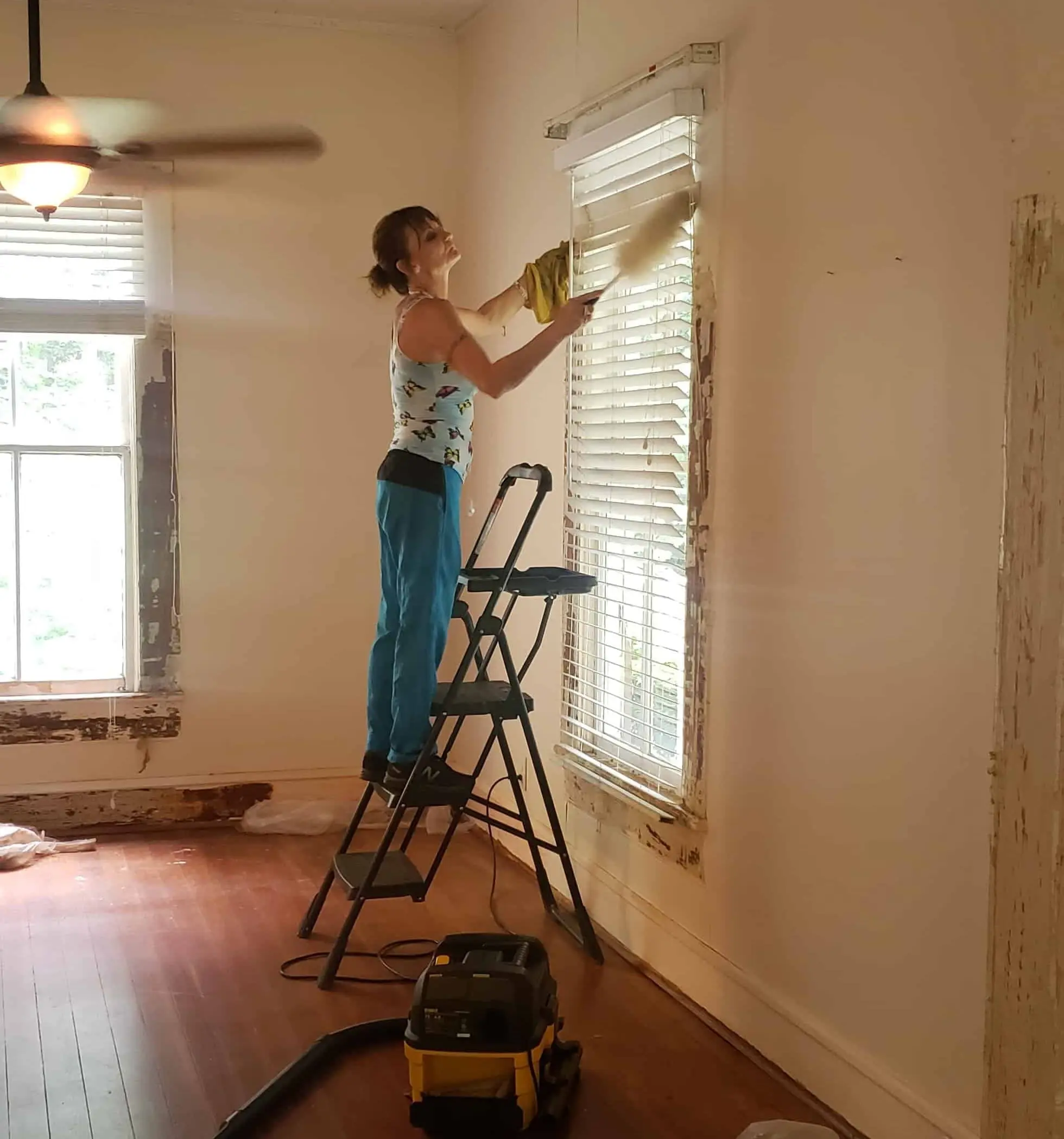 Blind cleaning - House Cleaning