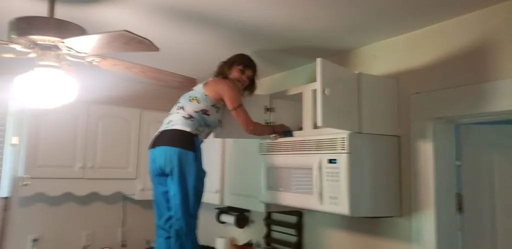 Tabby cleaning the inside of an upper kitchen cabinet.